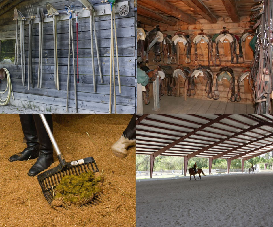 Images of spaces in a barn and a rider on a horse