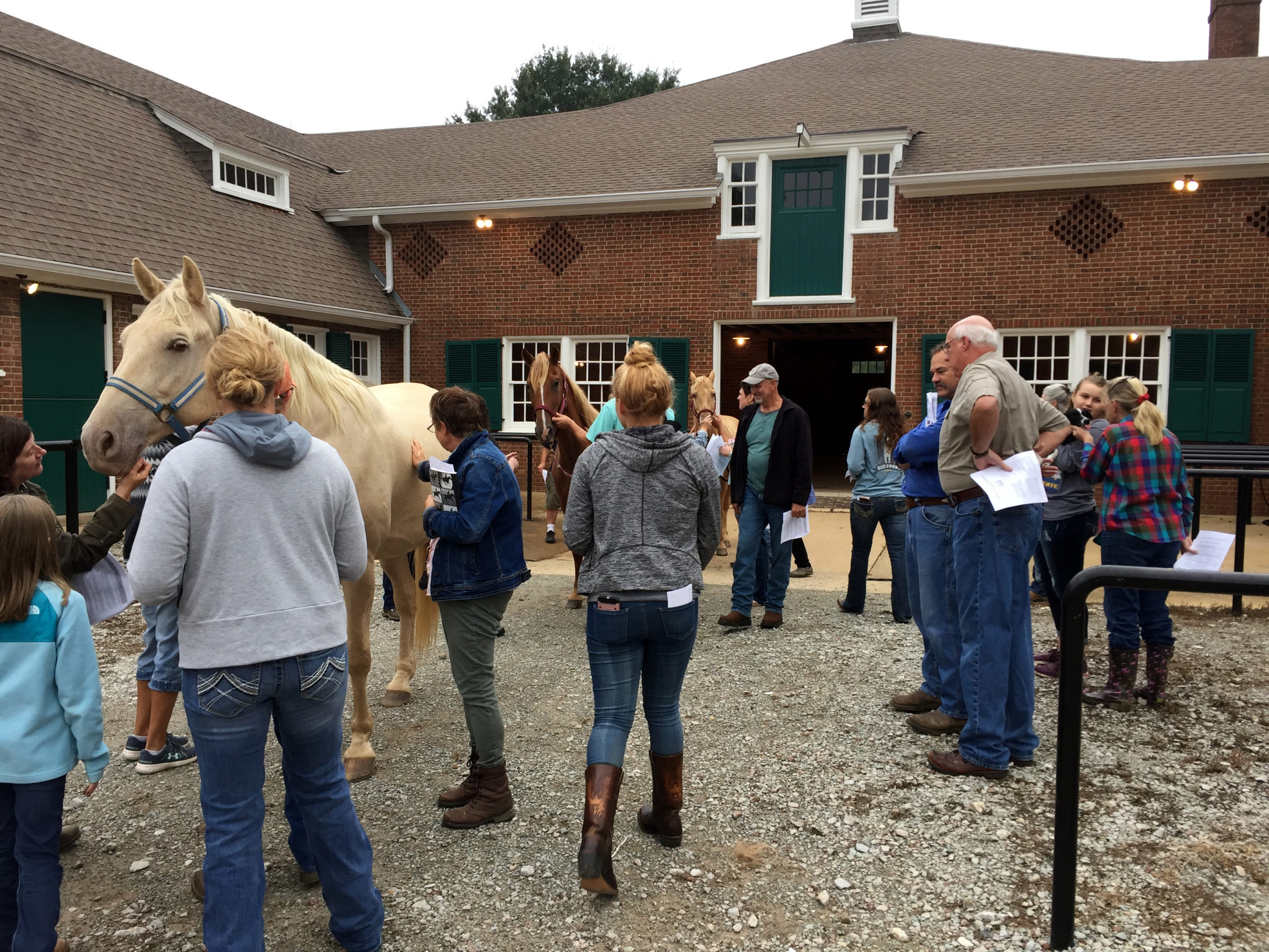 Horse Management Field Days UT Horse