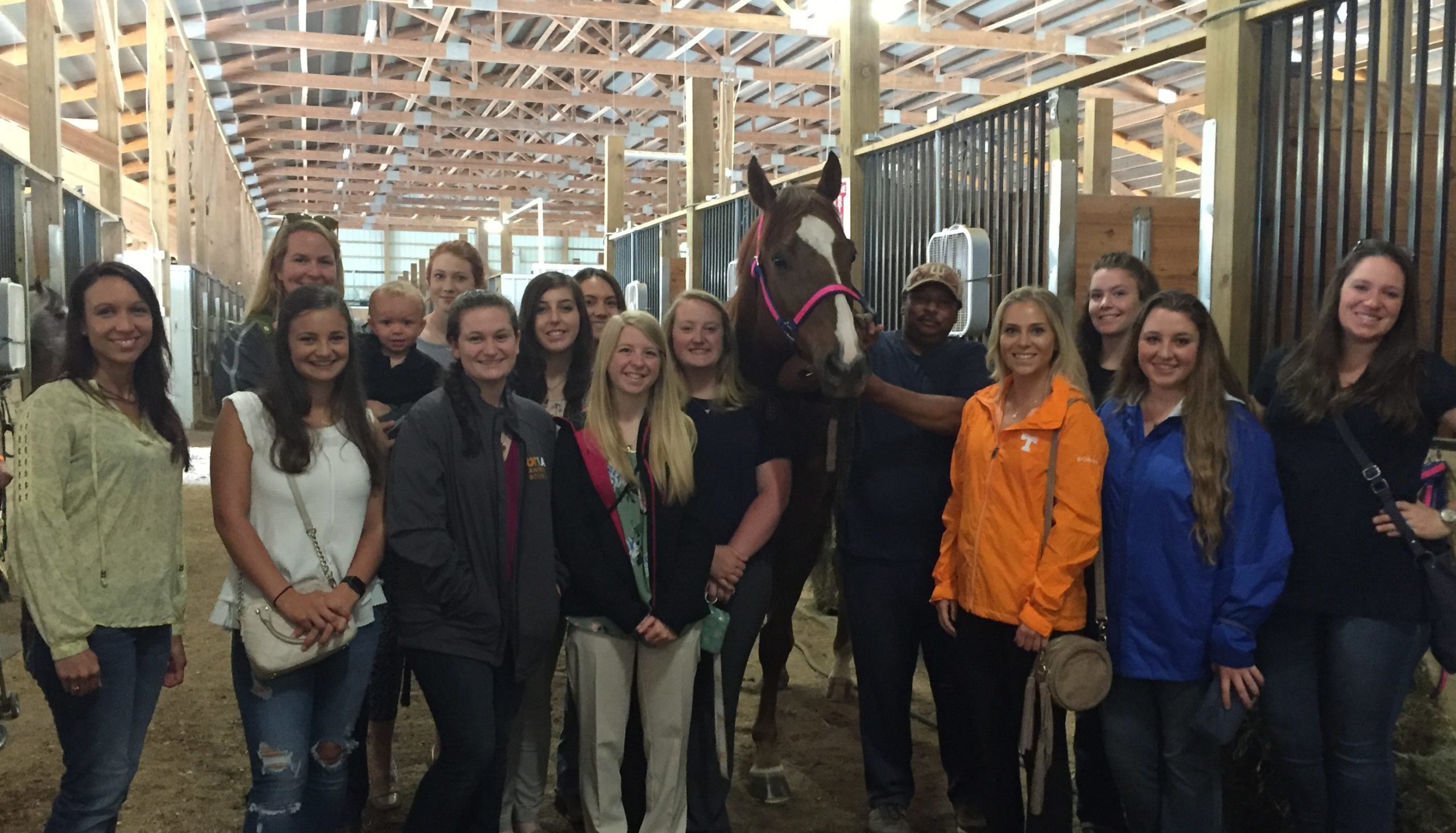 people standing with a horse