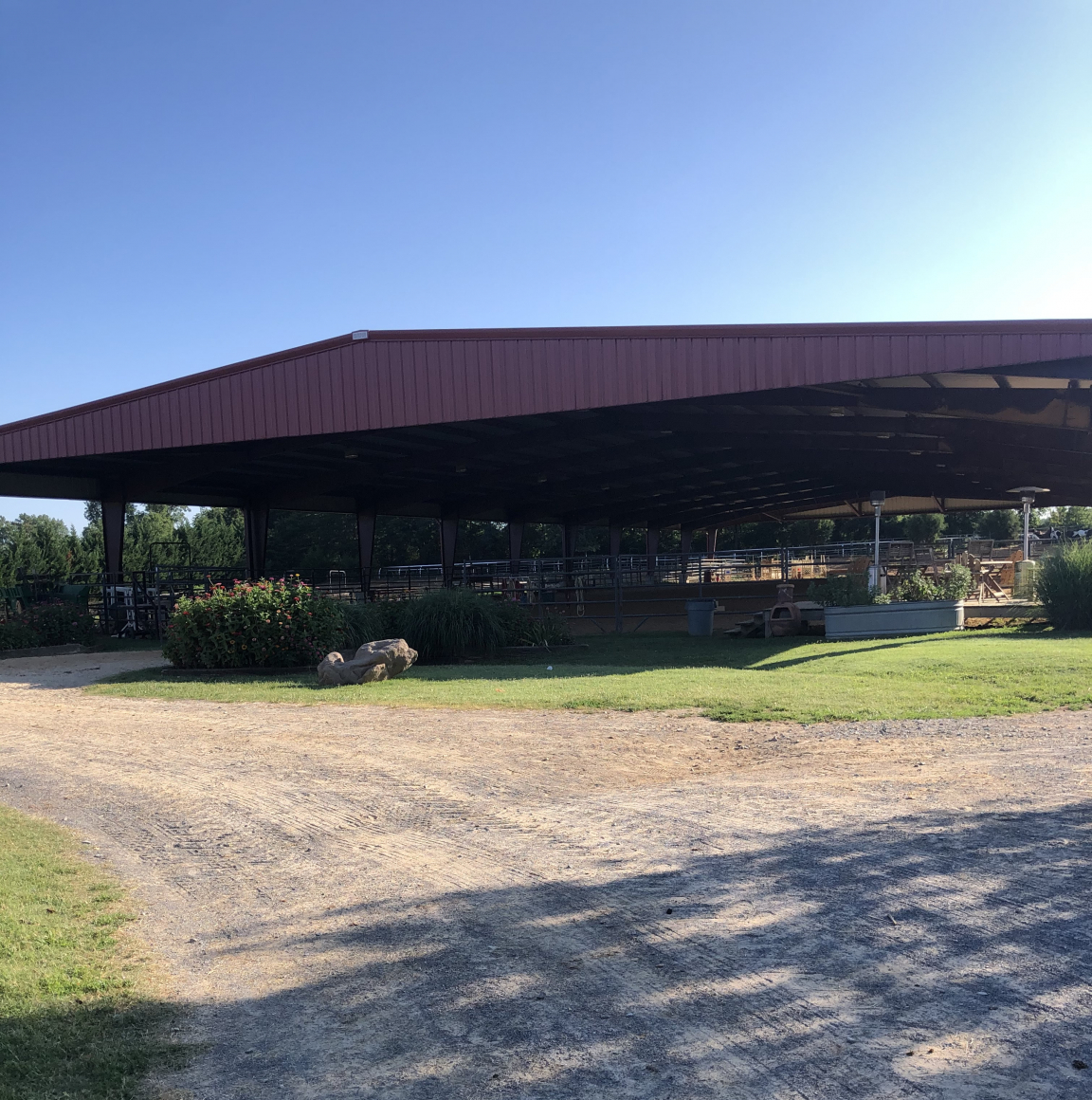 University of Tennessee Equestrian Team UT Horse