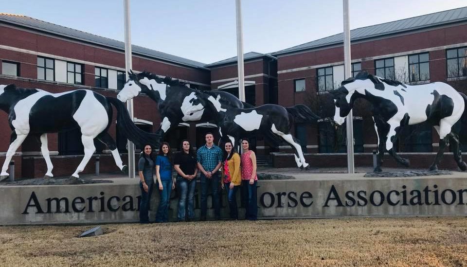 people standing in front of horse statue